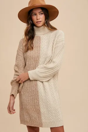 Cozy Turtleneck Sweater Dress